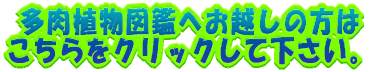 �����A���}�� 