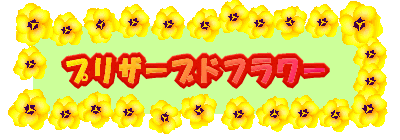 �v���U�[�u�h�t�����[ 