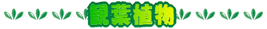 �ϗt�A�� 